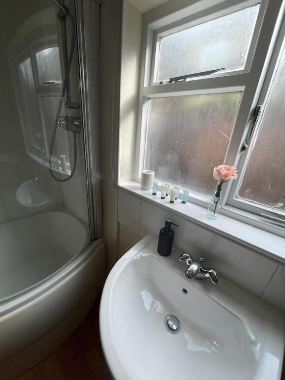 Beautiful Ground Floor Garden Flat Apartment London Bagian luar foto